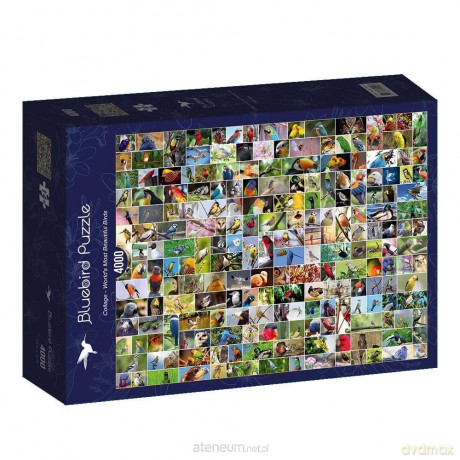 BLUEBIRD 4000 el. Najpiękniejsze ptaki świata [PUZZLE]