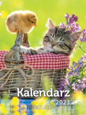Kalendarz 2023 A6 Zdzierak MIX [KALENDARZ]