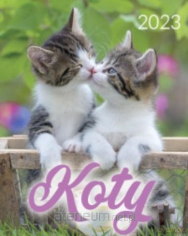 Kalendarz 2023 B4 Koty [KALENDARZ]
