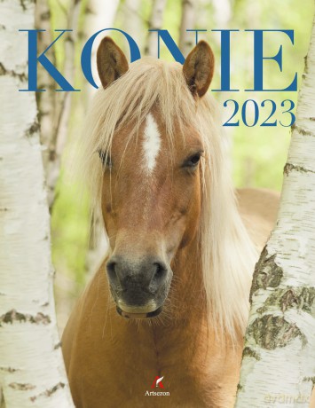 Kalendarz 2023 Wieloplanszowy Konie [KALENDARZ]