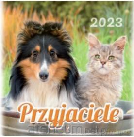 Kalendarz 2023 Wieloplanszowy Przyjaciele [KALENDARZ]
