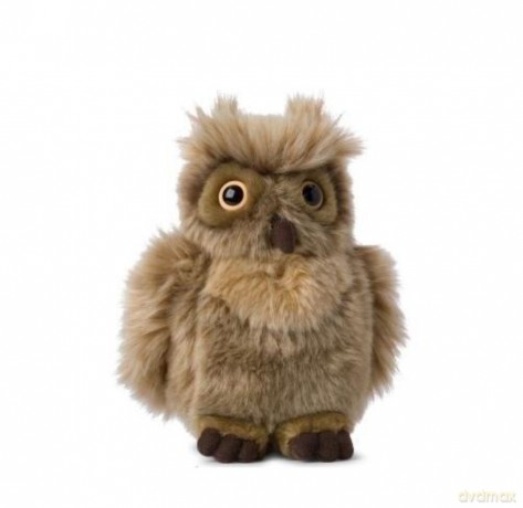Puchacz 25 cm WWF