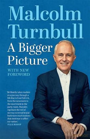 A Bigger Picture: With New Foreword - Turnbull Malcolm [KSIĄŻKA]