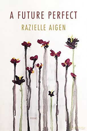 A Future Perfect - Razielle Aigen [KSIĄŻKA]