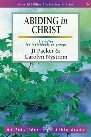 Abiding in Christ (Lifebuilder Study Guides) (Lifebuilder Bible Study Guides) (Lifebuilder Bible Study Guides, 5) - Packer Ji Nystrom [KSIĄŻKA]