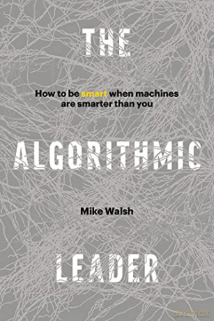 ALGORITHMIC LEADER: How to Be Smart When Machines Are Smarter Than You - Walsh Mike [KSIĄŻKA]