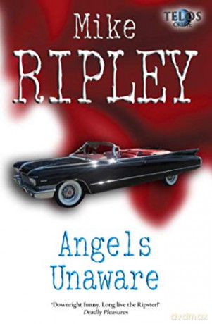 Angels Unaware: 15 (Angel Series) - Mike Ripley [KSIĄŻKA]