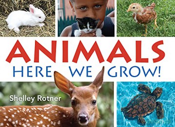 Animals!: Here We Grow - Shelley Rotner [KSIĄŻKA]