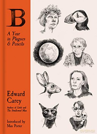 B: A Year in Plagues and Pencils [KSIĄŻKA]