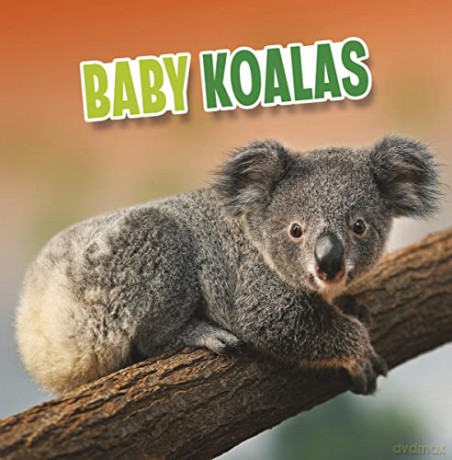 Baby Koalas (Baby Animals) - Rustad Martha E H [KSIĄŻKA]