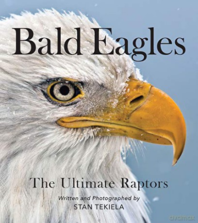 Bald Eagles: The Ultimate Raptors (Favorite Wildlife) - Stan Tekiela [KSIĄŻKA]