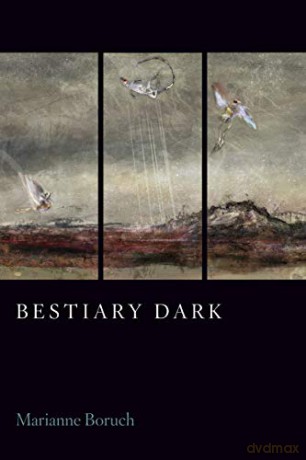 Bestiary Dark - Marianne, B Bourch [KSIĄŻKA]