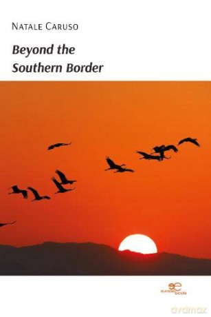 BEYOND THE SOUTHERN BORDER (Build Universes) - Natale Caruso [KSIĄŻKA]