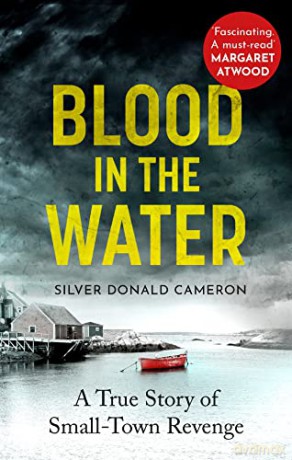 Blood in the Water: A true story of small-town revenge - Silver D Cameron [KSIĄŻKA]