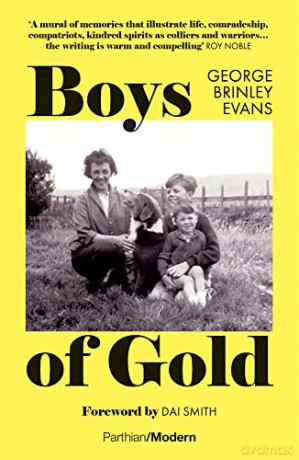 Boys of Gold (Parthian Modern) - Georg Brinley Evans [KSIĄŻKA]