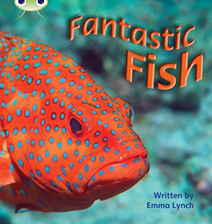 Bug Club Phonics Non Fiction Year 1 Phase 4 Set 12 Fantastic Fish - Lynch Emma [KSIĄŻKA]