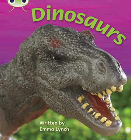 Bug Club Phonics Non Fiction Year Two Phase 5 Set 26 Dinosaurs [KSIĄŻKA]