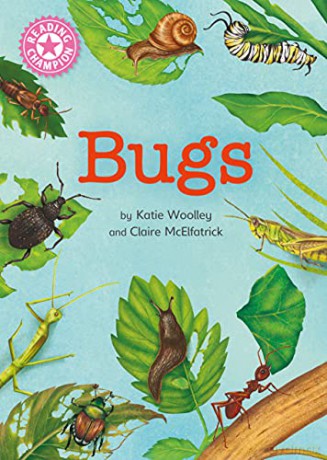 Bugs: Independent Reading Non-Fiction Pink 1a (Reading Champion) - Katie Woolley [KSIĄŻKA]