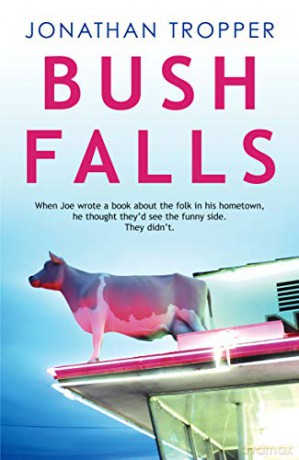 Bush Falls - Jonathan Tropper [KSIĄŻKA]