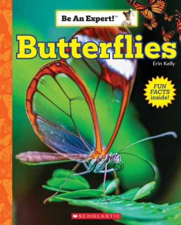 Butterflies (Be an Expert!) - Erin Kelly [KSIĄŻKA]