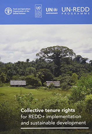 Collective Tenure Rights for REDD+ Implementation and Sustainable Development - Fortuna A. Bradley [KSIĄŻKA]