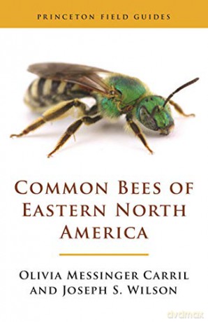 Common Bees of Eastern North America: 123 (Princeton Field Guides, 123) - Joseph S. Wilson [KSIĄŻKA]