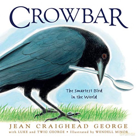 Crowbar: The Smartest Bird in the World - Jean Craighe George [KSIĄŻKA]