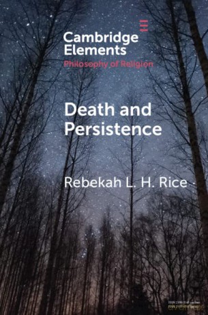 Death and Persistence (Elements in the Philosophy of Religion) - Rebekah L. H. Rice [KSIĄŻKA]