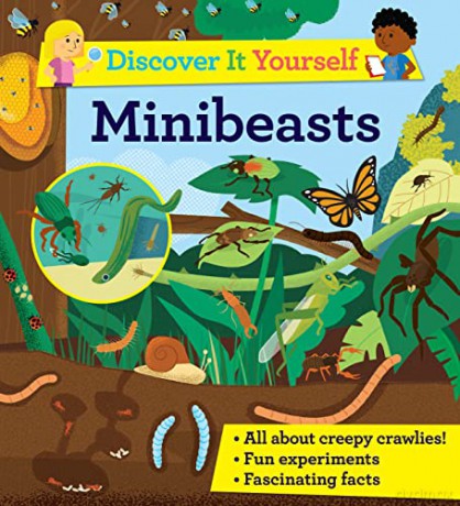Discover It Yourself: Minibeasts (Discover It Yourself, 11) - Sally Morgan [KSIĄŻKA]