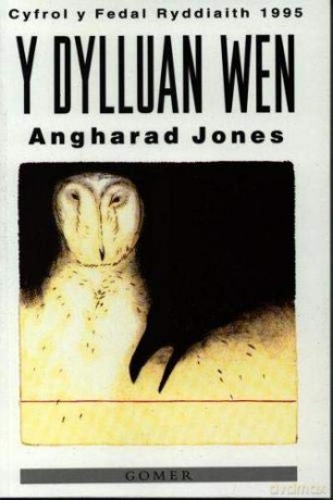 Dylluan Wen, Y - Angharad Jones [KSIĄŻKA]
