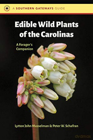 Edible Wild Plants of the Carolinas: A Forager's Companion (Southern Gateways Guides) - Musselman Schafran [KSIĄŻKA]