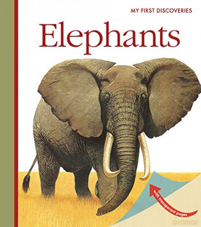 Elephants (My First Discoveries) - Jeunesse,Gallimardd [KSIĄŻKA]
