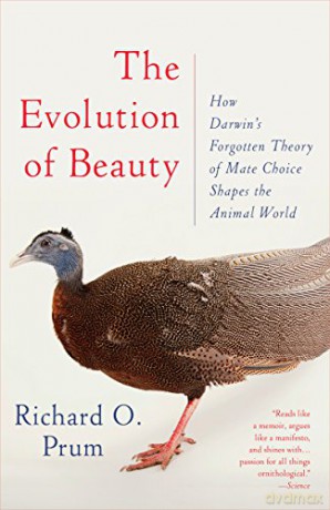 Evolution of Beauty: How Darwin's Forgotten Theory of Mate Choice Shapes the Animal World - and Us - Richard O Prum [KSIĄŻKA]