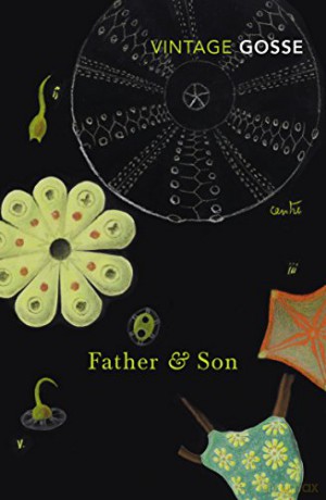 Father and Son (Vintage Classics) - Edmund Gosse [KSIĄŻKA]
