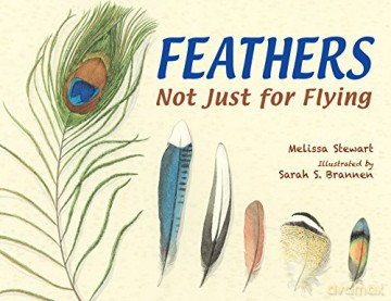 Feathers: Not Just for Flying - Melissa Stewart [KSIĄŻKA]