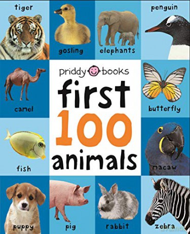 First 100 Animals (UK EDITION) (First 100 Soft to Touch Board Books) [KSIĄŻKA]