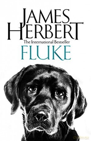 Fluke - James Herbert [KSIĄŻKA]