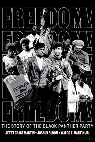 Freedom! The Story of the Black Panther Party - Jetta Grace Martin [KSIĄŻKA]