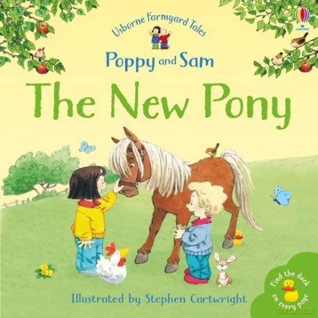 FYT MINI NEW PONY (Farmyard Tales) - Heather Amery [KSIĄŻKA]