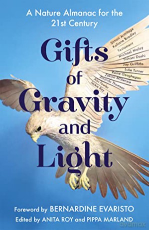 Gifts of Gravity and Light - Anita Roy [KSIĄŻKA]
