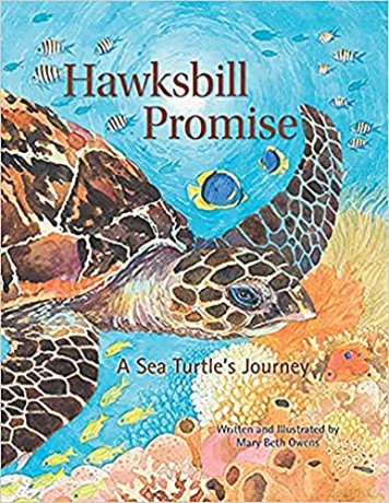 Hawksbill Promise: The Journey of an Endangered Sea Turtle: 0 (Tilbury House Nature Book) - Mary Beth Owens [KSIĄŻKA]