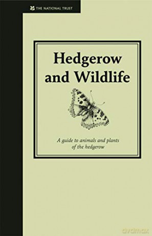 Hedgerow and Wildlife: Guide to Animals and Plants of the Hedgerow - Jane Eastoe [KSIĄŻKA]