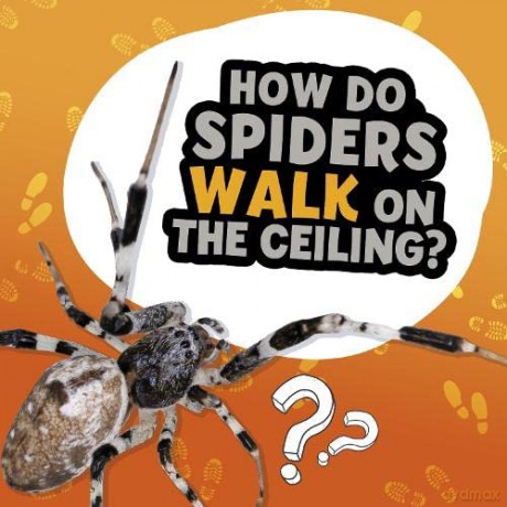 How Do Spiders Walk on the Ceiling (Amazing Animal Q&As) - Dickmann Nancy [KSIĄŻKA]