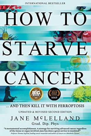 How to Starve Cancer: ...and Then Kill It with Ferroptosis - Jane Mclelland [KSIĄŻKA]