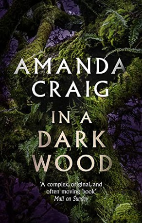 In a Dark Wood - Amanda Craig [KSIĄŻKA]