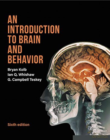 Introduction to Brain and Behavior (International Edition) - Bryan Kolb [KSIĄŻKA]