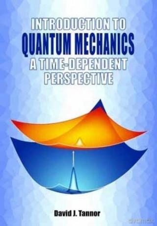 Introduction to Quantum Mechanics: a time-dependent perspective [KSIĄŻKA]