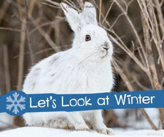 Investigate the Seasons: Let's Look at Winter - Sarah Schuette [KSIĄŻKA]