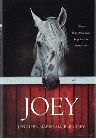 Joey: How a Blind Rescue Horse Helped Others Learn to See - Jennifer Bleakley [KSIĄŻKA]
