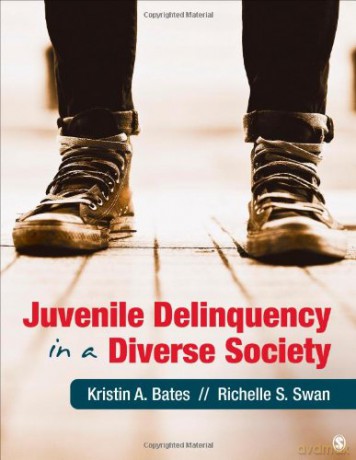 Juvenile Delinquency in a Diverse Society [KSIĄŻKA]